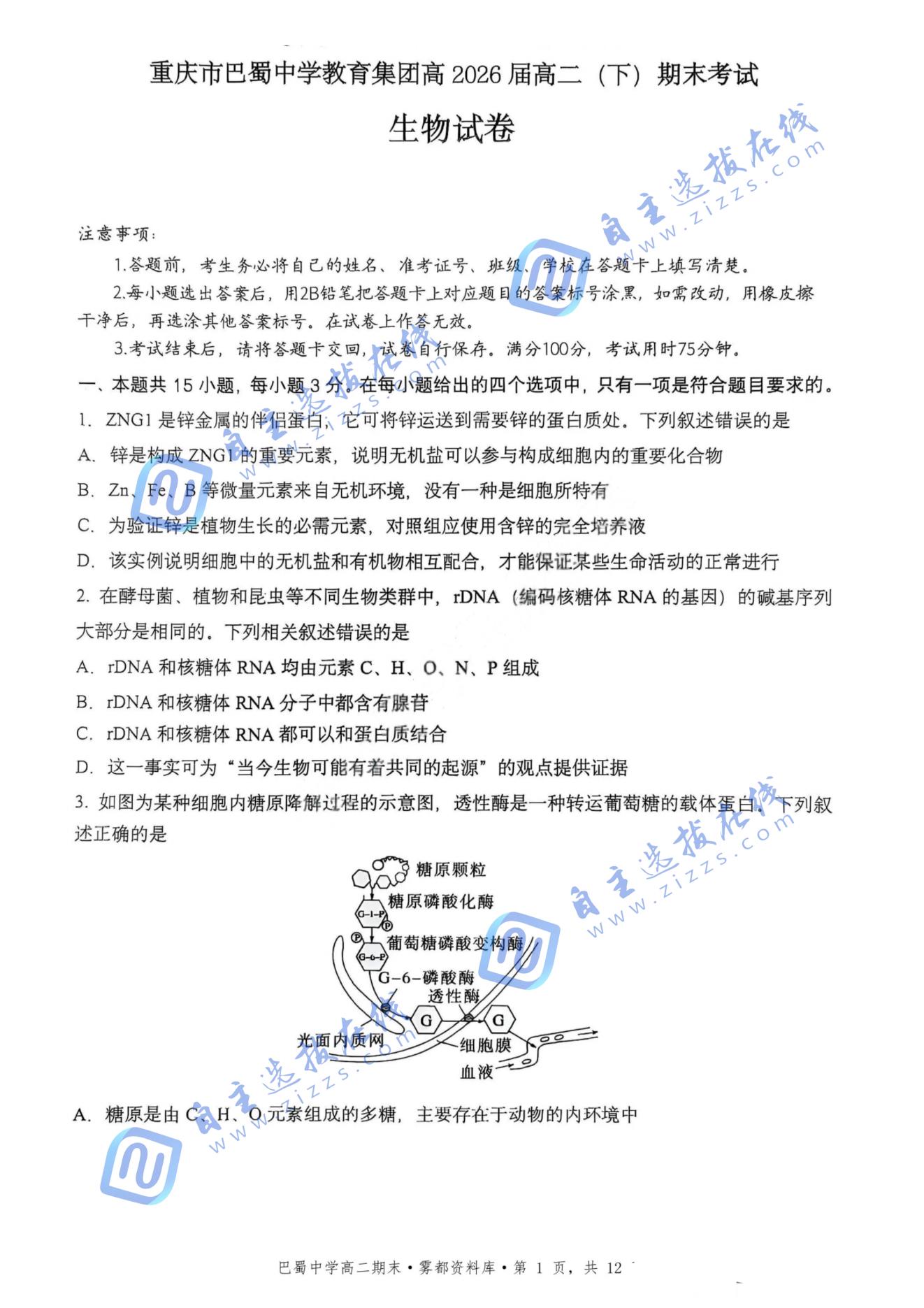 重庆巴蜀中学教育集团2025年高二（下）期末考试生物试题及答案